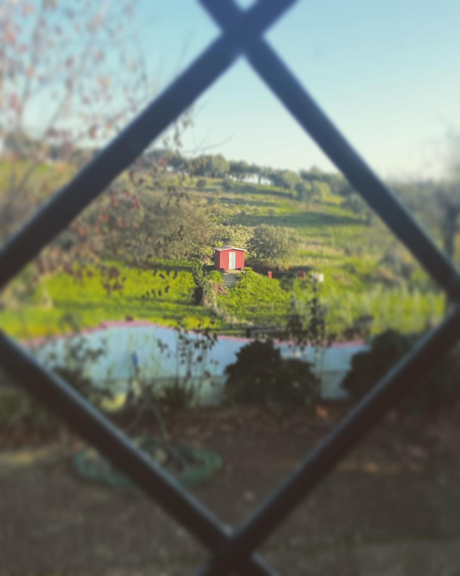 La Casa Barata, Casa Rural Cedillo 외부 사진